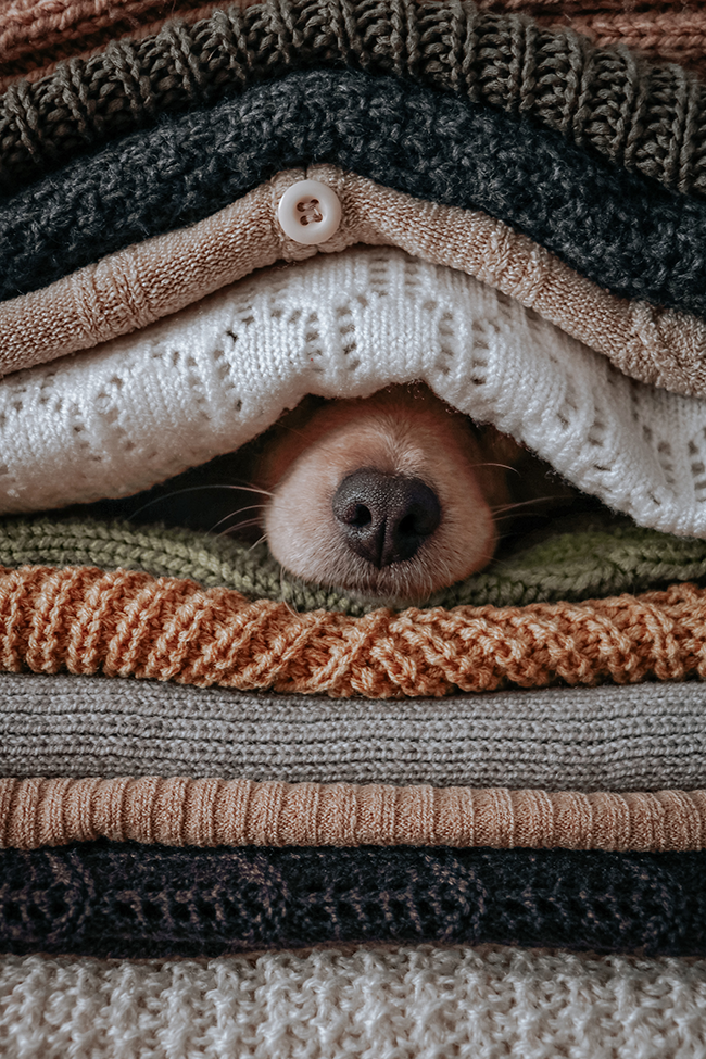 afghan blanket
