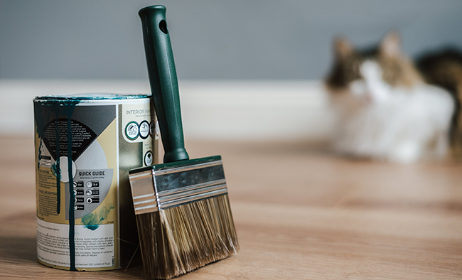How to clean polyurethane brush and a cat watching