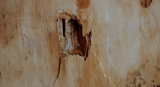 HOLE