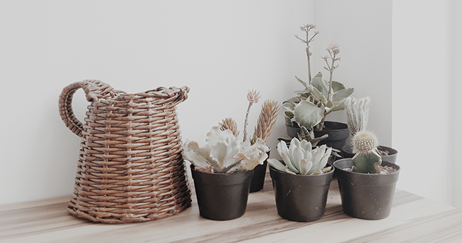 How to decorate a plastic flower pot