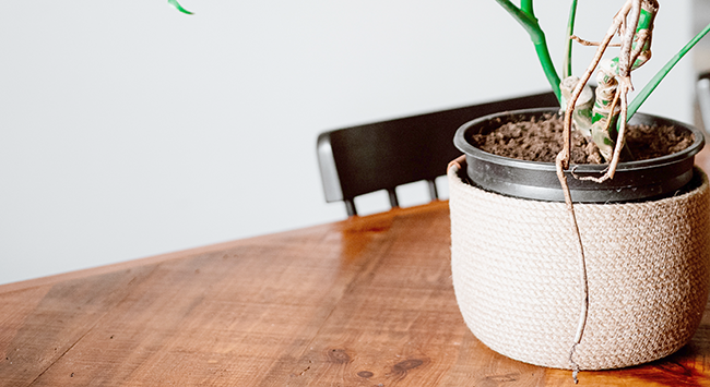 How to decorate a plastic flower pot WITH ROPE