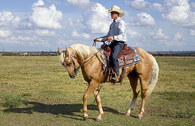 cowboys starch jeans