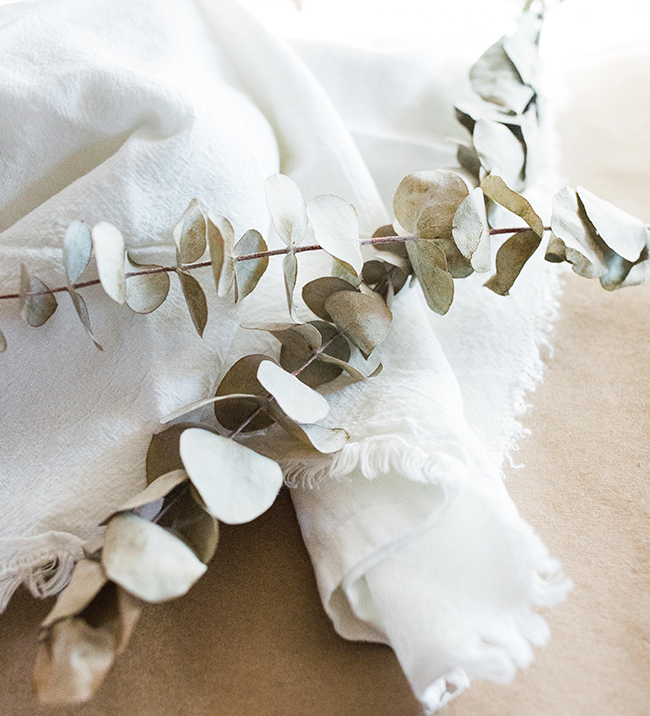 eucalyptus